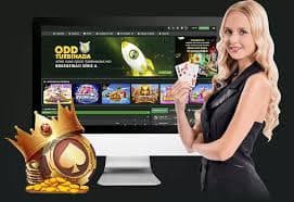 bet3655